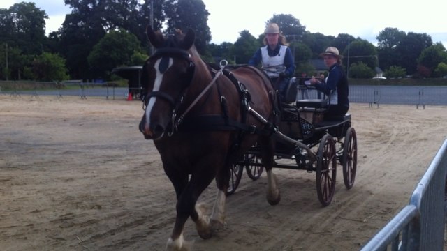 Concours d'utilisation du cheval breton