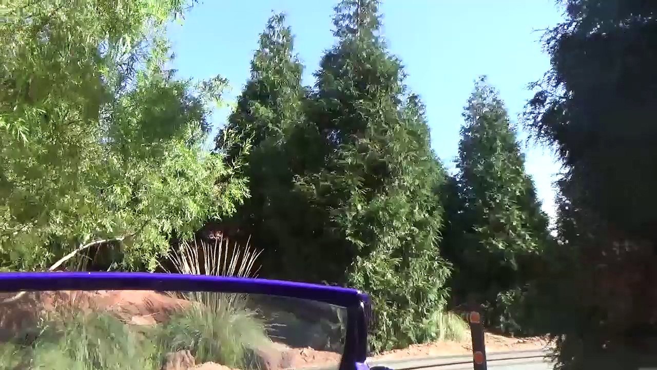 Californie 2016 - Bonus : Radiator Springs Racers - L'Attraction - Disney California Adventure Park