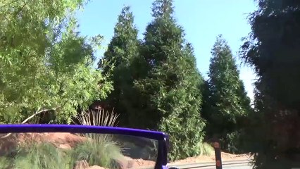 Californie 2016 - Bonus : Radiator Springs Racers - L'Attraction - Disney California Adventure Park