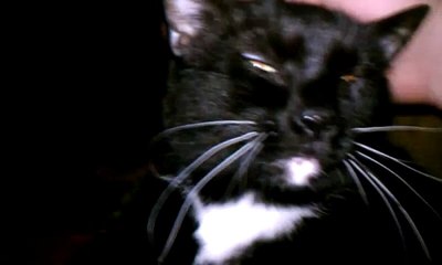 November 4, 2012 10:29 PM