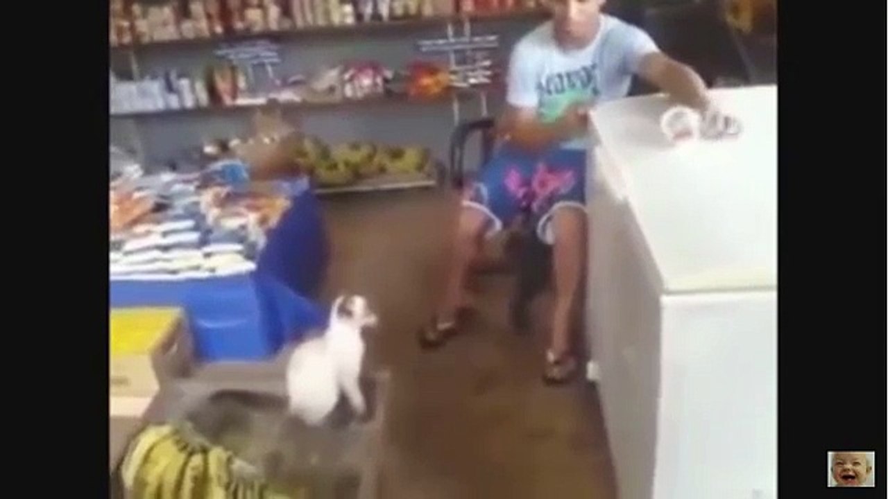 Funny Videos Best Whatsapp April 2016 Fails