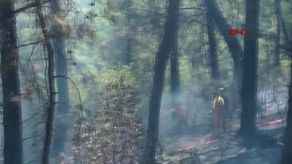 Kemer'de Aynı Nokta İkinci Kez Yandı