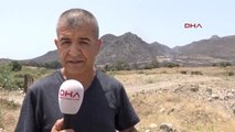 Bodrum Alevler, Bodrum'da 24 Saatte 250 Hektarlık Makilik Alanı Küle Çevirdi