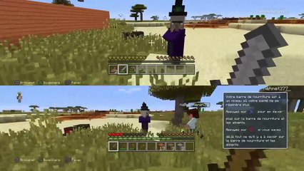 Minecraft survie partie2 (46)