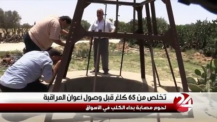 خطييييييير !!! لحوم مصابة بداء الكلب في الأسواق التونسية. الله لا تربحهم