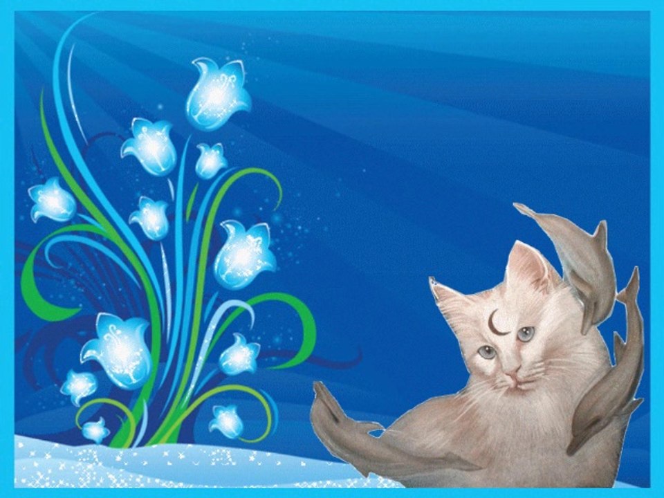 - Pause avec les chats°°Odette