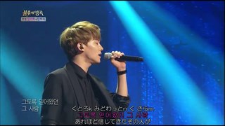 EXO Chen Beakhyun 진정 난 몰랐네　ルビ+歌詞+日本語訳