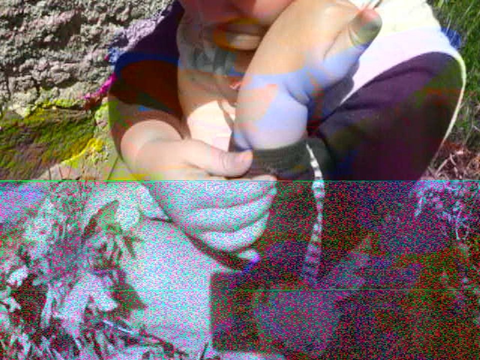 Ozzy joue avec un gendarme (petit insecte) à Redondel