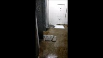 Motorista flagra banheiro destruído por vândalos em terminal do Transcol em Vila Velha