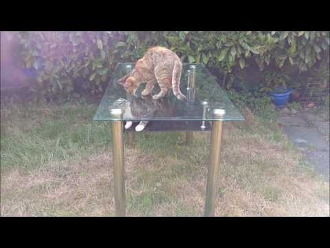 En Acımasız Şakalar (Fena) Komik Kazalar - İlginç Ve Eğlenceli Videolar - 2016 - HD