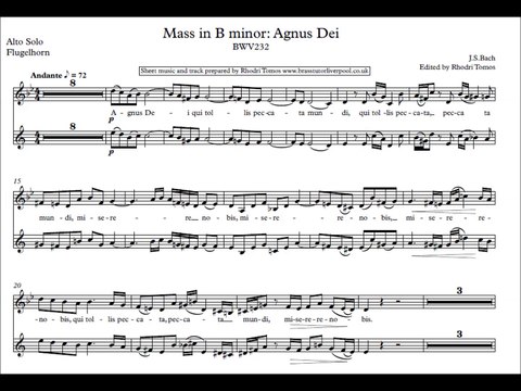 [Accompaniment] Bach Mass in B minor Agnus Dei [Sheet music & lyrics]