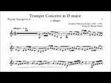 [Accompaniment] Stölzel Concerto in D major, HauH 5.3 1. Allegro [Sheet music]