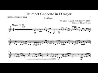 [Accompaniment] Stölzel Concerto in D major, HauH 5.3 1. Allegro [Sheet music]