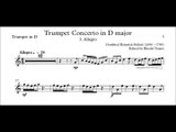 [Accompaniment] Stölzel Concerto in D major, HauH 5.3 3. Allegro [Sheet music]