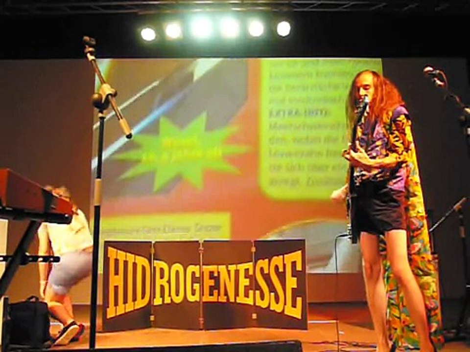 hidrogenesse, disfraz de tigre, sevilla (15/8/2007)
