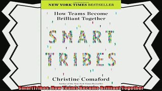 complete  SmartTribes How Teams Become Brilliant Together