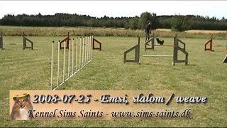 Emsi - agility slalom / weave - 2008-07-25