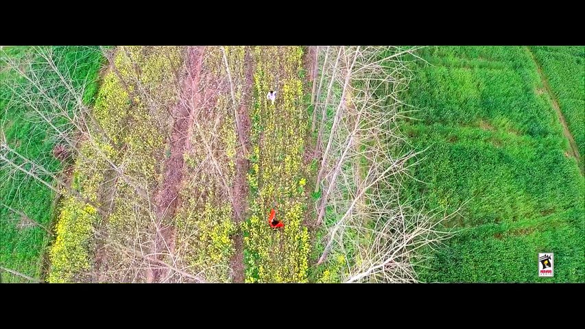 7 DIN    AMARDEEP    New Punjabi Songs 2016    AMAR AUDIO