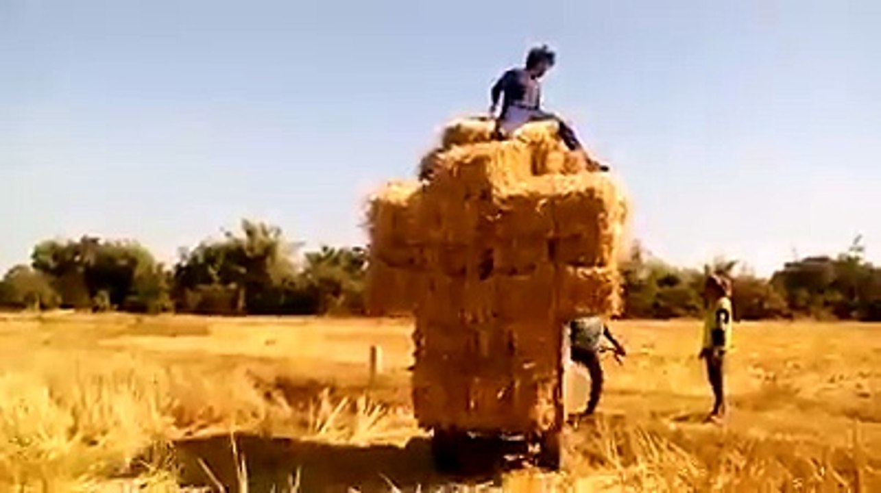 check this out