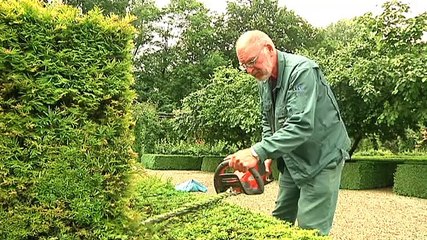 Verhildersum snoeit taxushagen tegen kanker - RTV Noord