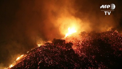 اشجار هالكة وجفاف قياسي وصفة لحرائق الغابات في الغرب الاميركي