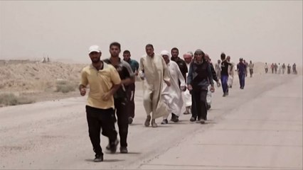 نازحو العراق.. إلى أين المفر؟