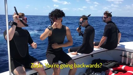 The Try Guys Swim With Sharks  // Sponsored by The Shallows