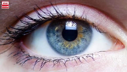 İnsan Vücudu Hakkında Bizi Şaşkına Çevirecek 15 Bilgi