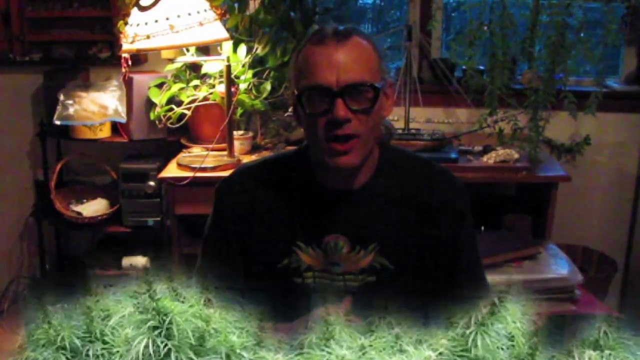 Bulletin 404 - Hempology 101 Textbook - Video 24