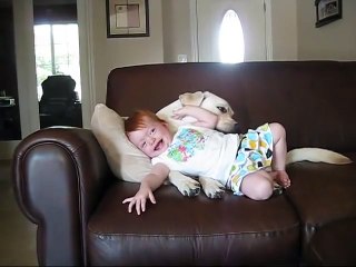Labrador Dog Playing with Cute Baby