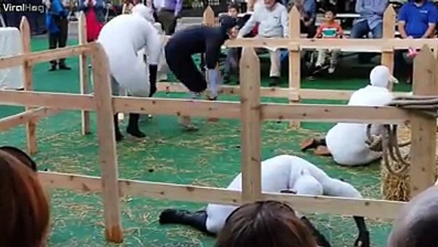 Des humains qui veulent être des moutons