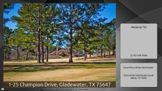 1-25 Champion Drive, Gladewater, TX 75647