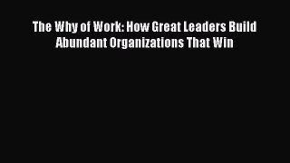Read The Why of Work: How Great Leaders Build Abundant Organizations That Win Ebook Free