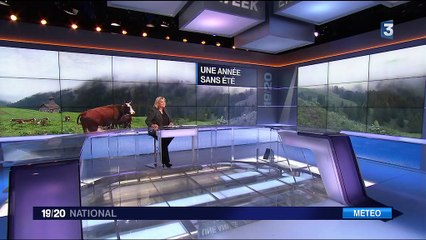 1816 : une année sans été