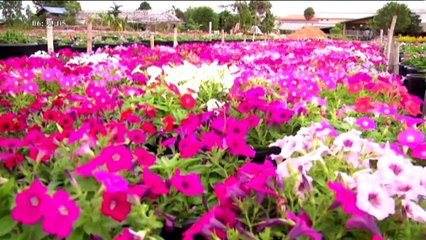 สนามเป้าเล่าข่าว   Wed พุธ   30  มีนาคม 2559 ตอน 3