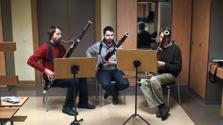 Etude nº 19 for Bassoon Trio - Falcone