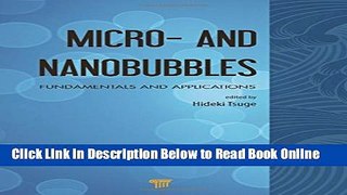 Read Micro- and Nanobubbles: Fundamentals and Applications  Ebook Free