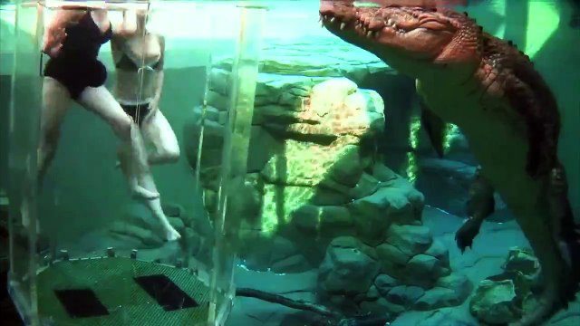 Развлечение Клетка смерти в Австралии