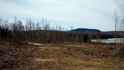 Maine Land For Sale 17 acres in Mount Chase