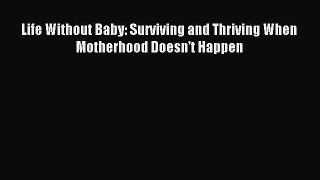Read Life Without Baby: Surviving and Thriving When Motherhood Doesn't Happen Ebook Free