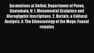 Read Excavations at Seibal Department of Peten Guatemala V: 1. Monumental Sculpture and Hieroglyphic
