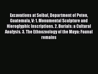 Read Excavations at Seibal Department of Peten Guatemala V: 1. Monumental Sculpture and Hieroglyphic