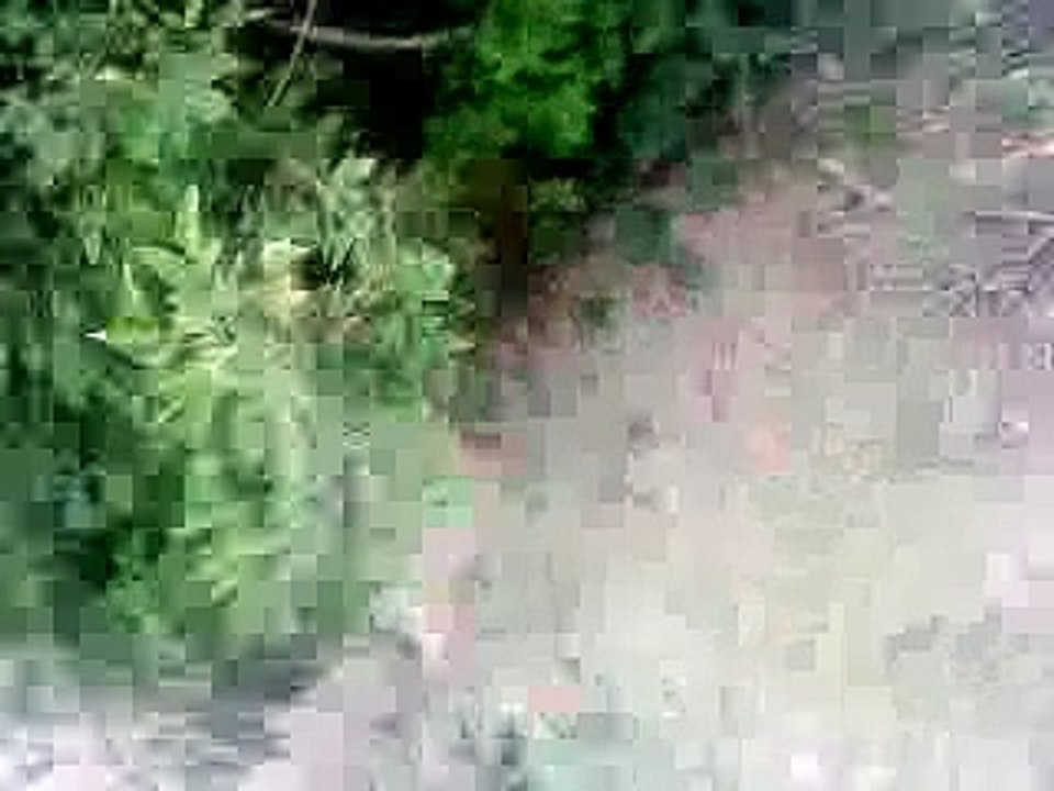 devils pit 19/06/11 range rover