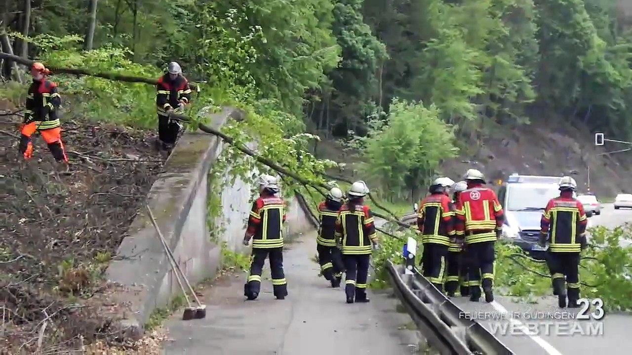 LB 23 | Umgestürzter Baum - 03.05.2014