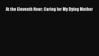 Download At the Eleventh Hour: Caring for My Dying Mother PDF Free