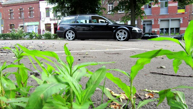 Passat 3BG Variant @Oli Low Prod'