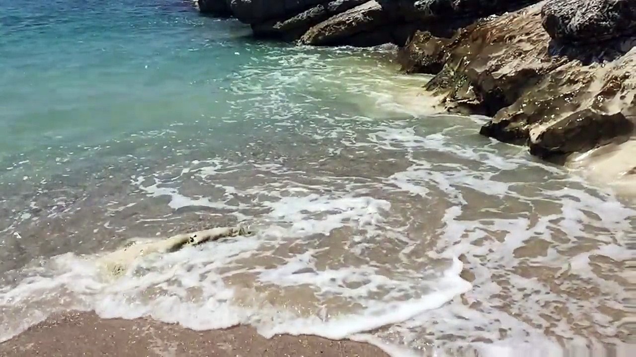 SeaWaves