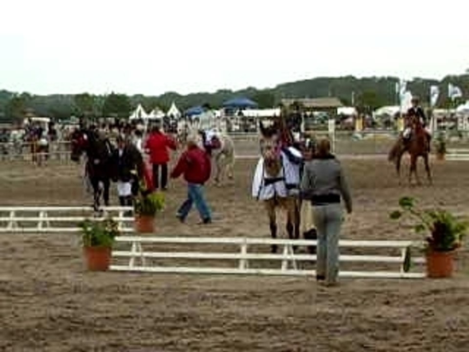 Remise des prix