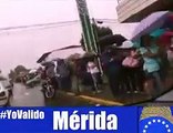 Ni la lluvia detuvo a los merideños para validar sus firmas