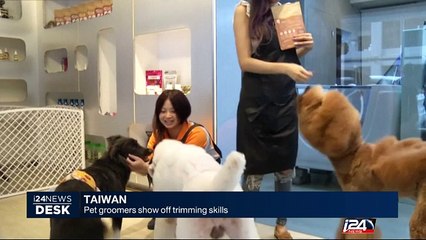 Taiwan: Pet groomers show off trimming skills